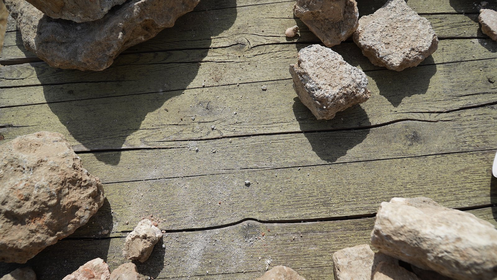 ROMAN EXCAVATIONS